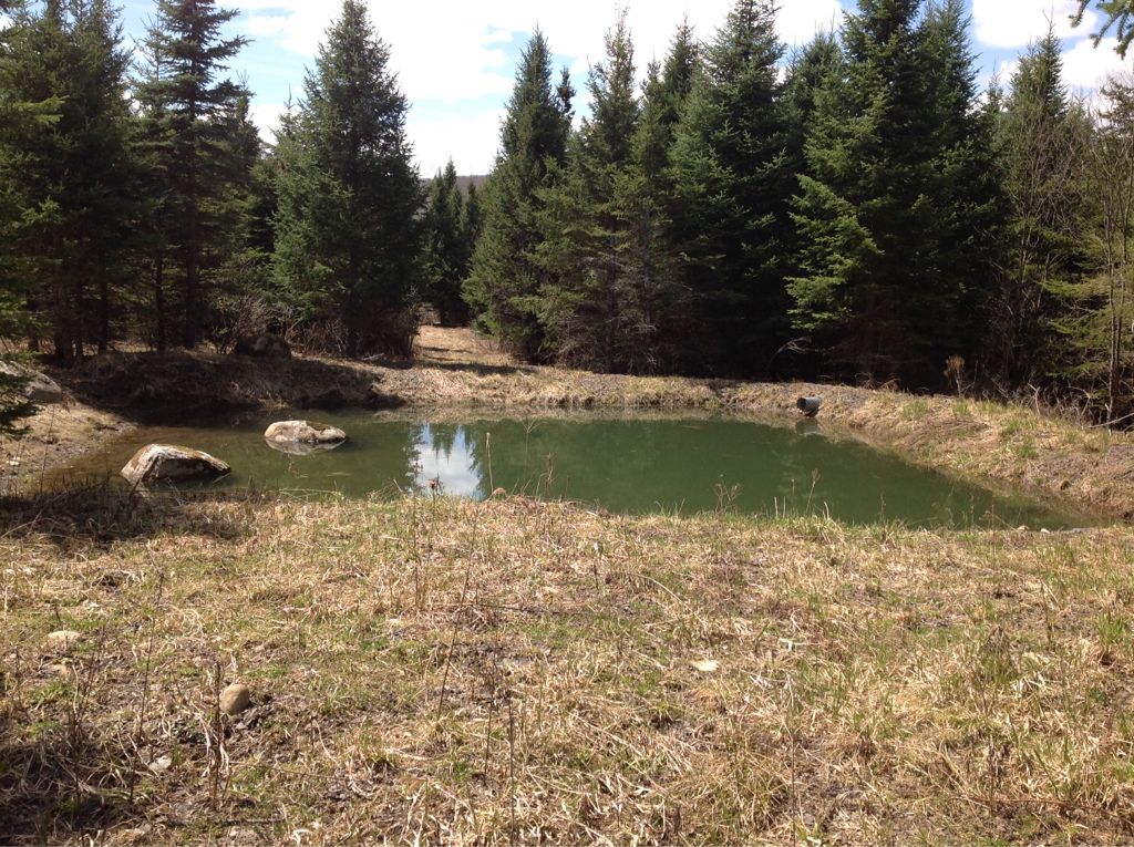 42 acres in Boonville Classifieds Buy, Sell, Trade or Rent Lake