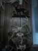 post-150622-14589383182709_thumb.jpg