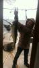 post-152622-14300971355276_thumb.jpg