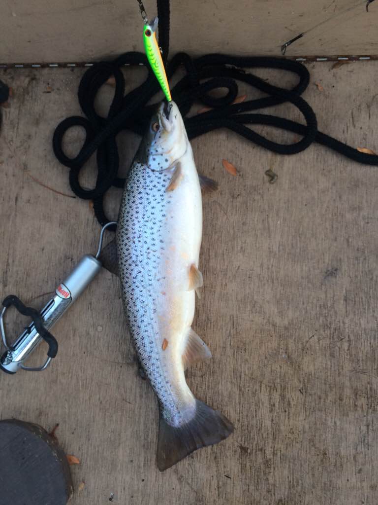 Good morning at Sandy Creek New York Fishing Reports Lake Ontario