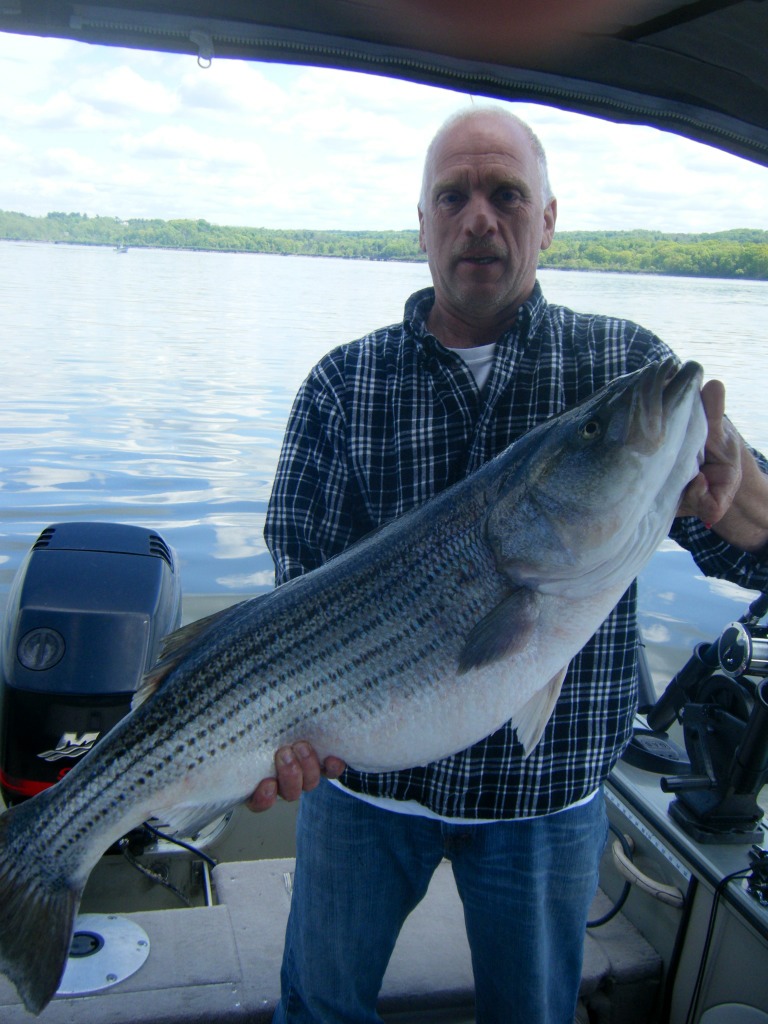 Hudson River striper 29 lbs Fishing Pictures Lake Ontario United