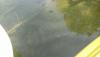 post-143447-0-58152000-1464472699_thumb.jpg