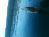 post-156407-0-10052100-1464149491_thumb.jpg