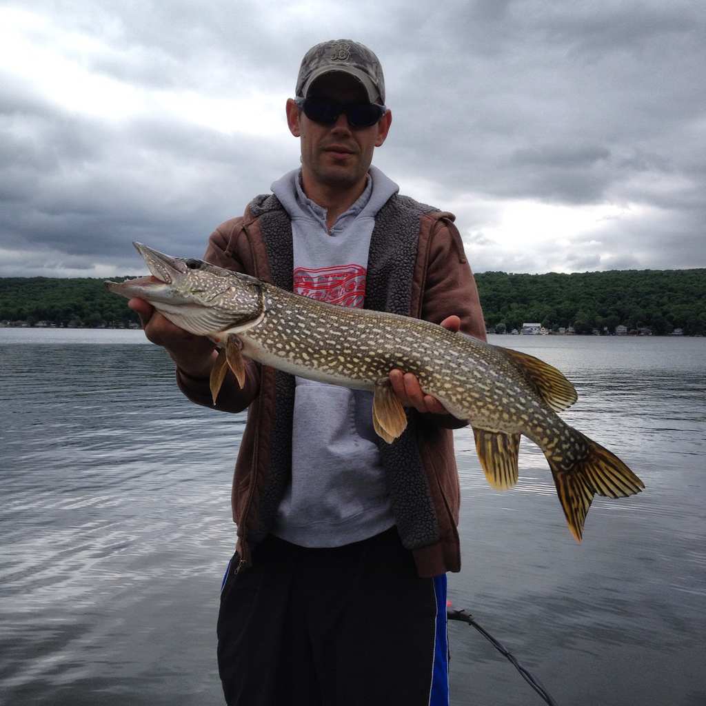 Conesus Lake Page 2 Musky, Tiger Musky & Pike (ESOX) Lake Ontario