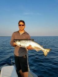 post-154857-0-07679100-1466984977_thumb.jpeg
