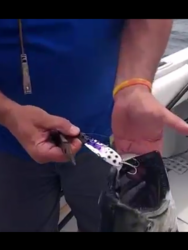 post-160669-0-54885400-1465431102_thumb.png