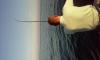 post-143370-0-32182500-1436491927_thumb.jpg