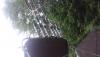 post-157836-14357647784967_thumb.jpg