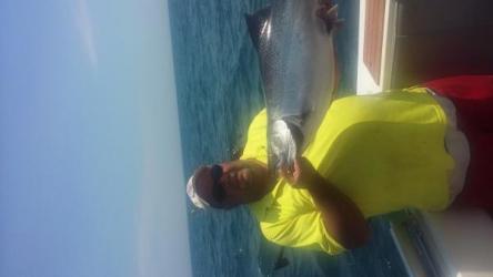 fish 4.jpg