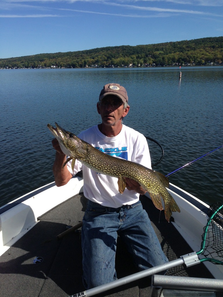 Conesus,9/25 Musky, Tiger Musky & Pike (ESOX) Lake Ontario United