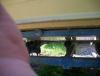 post-152734-0-02786400-1411090346_thumb.jpg