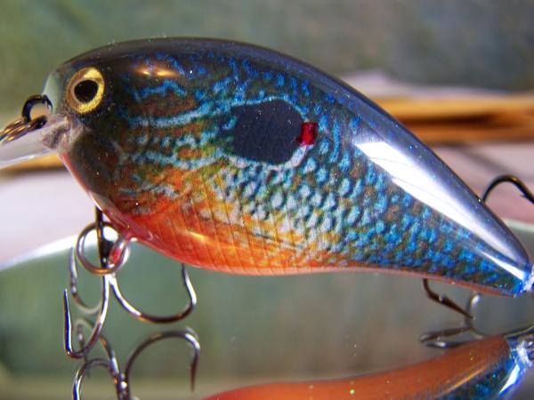 Custom painted crank baits - Bass Fishing - Lake Ontario United