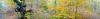 post-139598-14144405222539_thumb.jpg