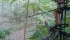 post-139598-14439584604129_thumb.jpg