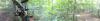 post-139598-14439909763216_thumb.jpg