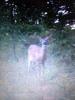 post-144887-1443795539442_thumb.jpg