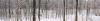 post-139598-14170941467919_thumb.jpg
