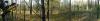 post-139598-14466702657278_thumb.jpg