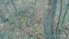 post-139598-14470172775939_thumb.jpg