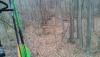 post-139598-14478541175919_thumb.jpg