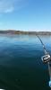 post-142224-14465082535098_thumb.jpg