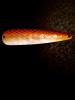 post-153988-14488467257982_thumb.jpg