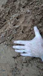 post-160165-14819330915624_thumb.jpg