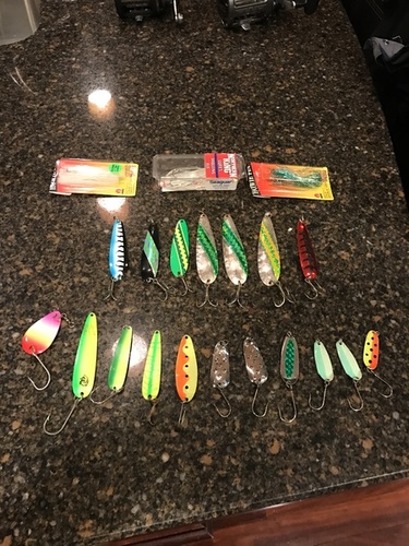 spoons 2.JPG