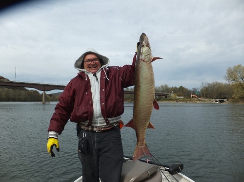 Susquehanna Muskie 026.JPG