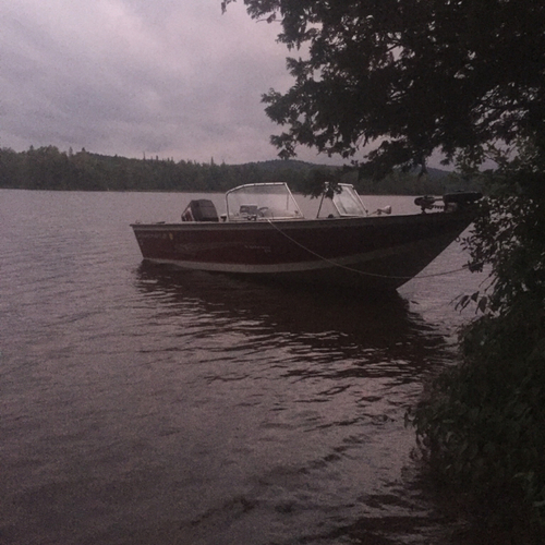 IMG_1486300775.984807.jpg