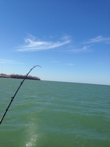 IMG_1487468980.284984.jpg