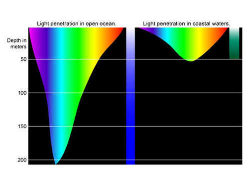 light_penetration.jpg