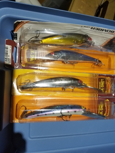 20170225_172415.thumb.jpg.8cbddf2ab4ba0fa560c3d75cc9f9ef62.jpg