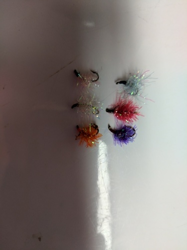 6 flies.jpg