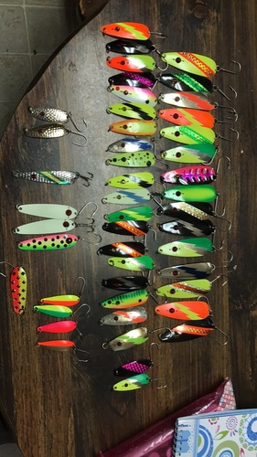 IMG_5894.thumb.JPG.1366611b80fa92a9839bfc734e612ad3.JPG
