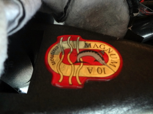 mag10ainsignia.jpg