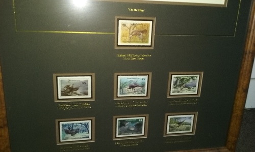 20160806_153517.jpg