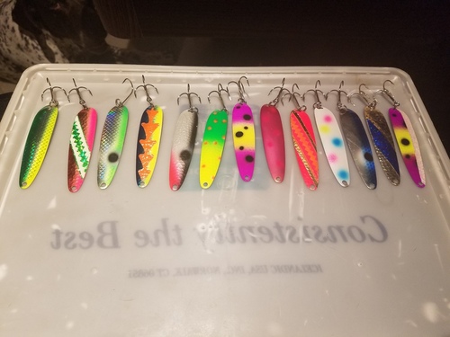 20170403_174731.thumb.jpg.59a14ae9d47655616766758688ce73c6.jpg