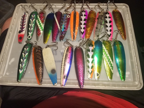 20170403_191450.thumb.jpg.d204a4c0669cf6fd0e0290033bc353cc.jpg