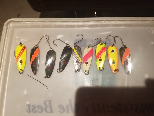 20170403_192732.thumb.jpg.861e21eca7867759c5ab45f03dc17d5b.jpg