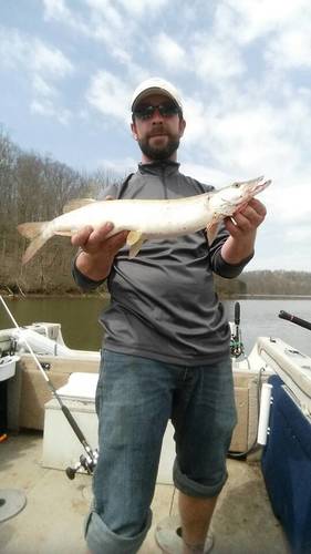 20170414_122440.thumb.jpg.39984ff678d8f8dd531146a349162b2c.jpg