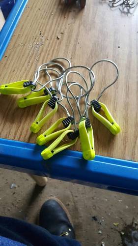 20170419_160124.thumb.jpg.c6733f62ac89779c04b69d4e04e305b2.jpg