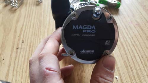 20170419_160959.thumb.jpg.20dbc4d020c409451ff26823082315e2.jpg