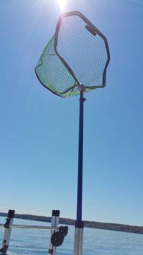 20170423_124508.thumb.jpg.0a820f895f8887f972d69d2d489e4fdb.jpg