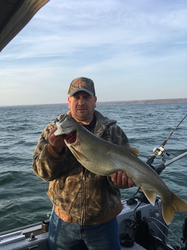 58f2b5e860a9c_cayugalaketrout.thumb.JPG.a76a3d7e76927a2e4e95c38f1e305910.JPG