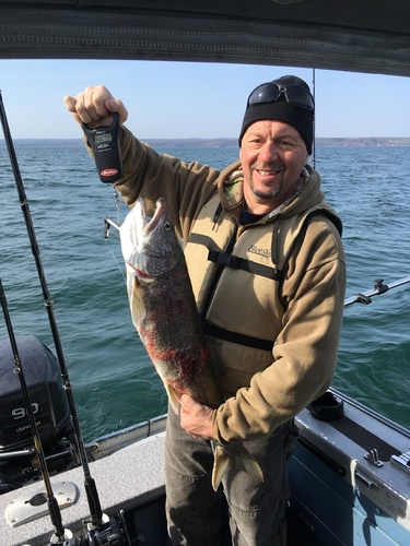 58f2b6151c0eb_laketrout.thumb.JPG.38fd187378dcc25d61f7a49d03598c39.JPG