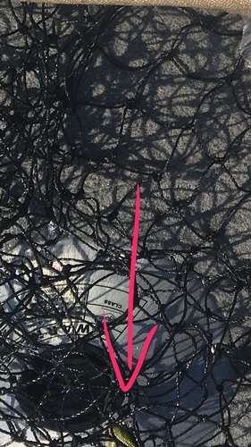IMG_0646.PNG