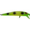 green-frog_1.png.afdfb3c12c0f88594ce6b3033d3f3bf0.png