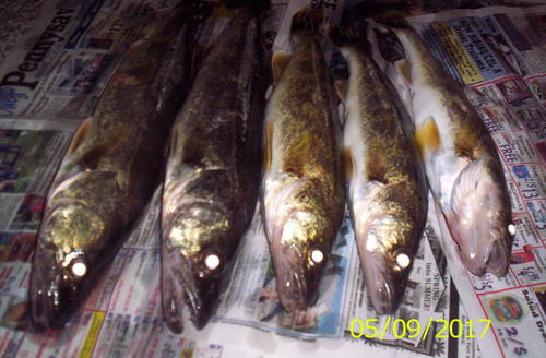 100_2223.JPG