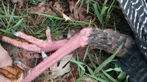 20170502_090717.jpg